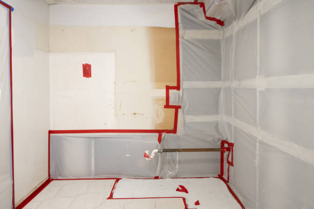 Best Air Quality Testing for Mold Spores  in Eglin Af, FL
