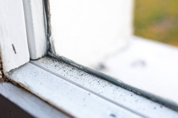 Best Air Quality Testing for Mold Spores  in Eglin Af, FL
