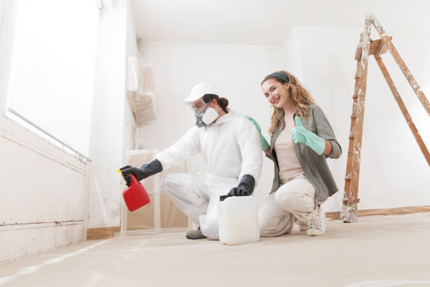 Best Attic Mold Removal  in Eglin Af, FL