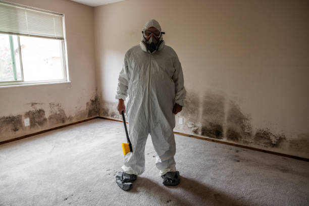 Best Residential Mold Inspection & Testing  in Eglin Af, FL